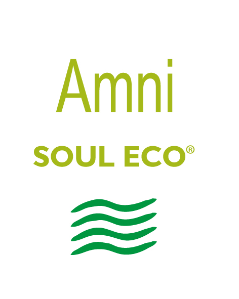 logo Amni Soul Eco